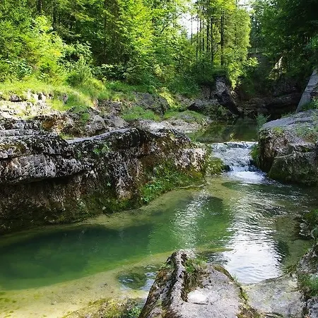 Ferienhaus Wimmer Faistenau