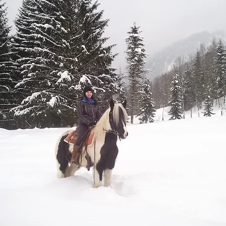 Ferienhaus Wimmer Casa de Férias *