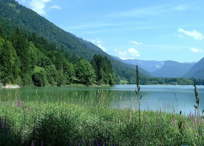別荘 Ferienhaus Wimmer ファイステナウ